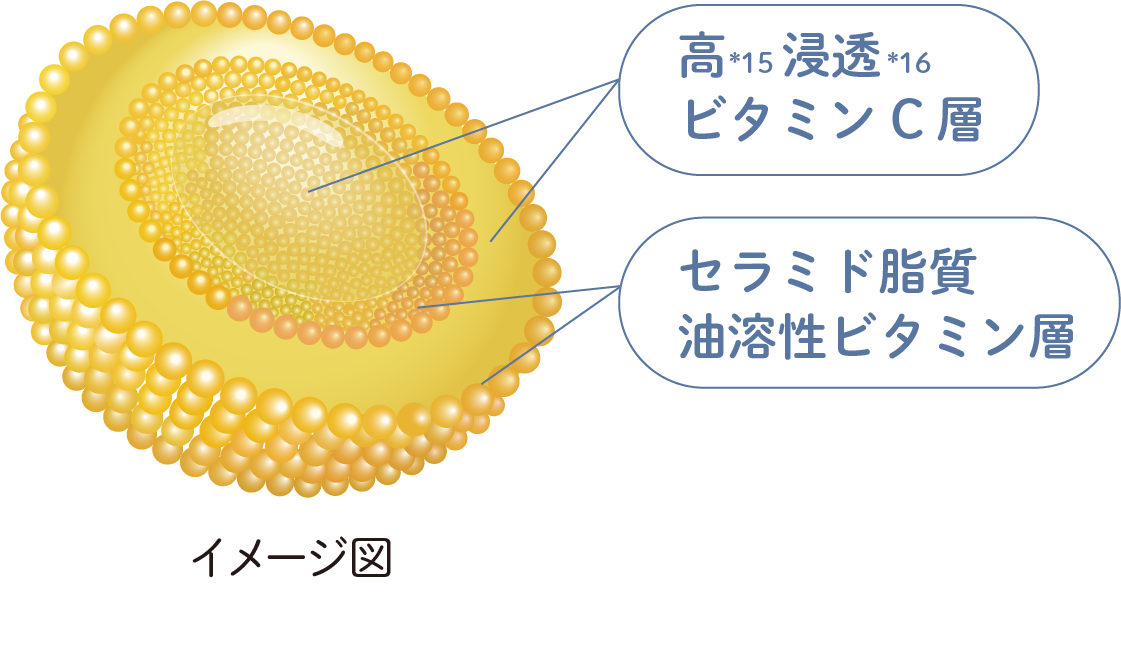 カプセル化イメージ図