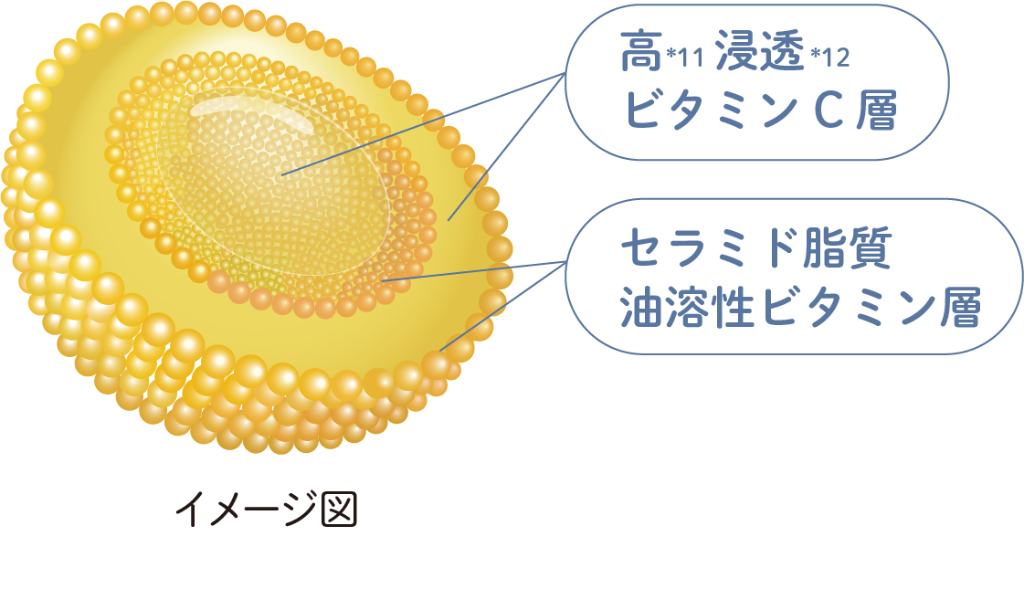 カプセル化イメージ図