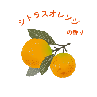 シトラスオレンジの香り
